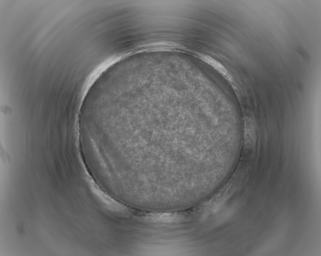 X0000090611474200708071153