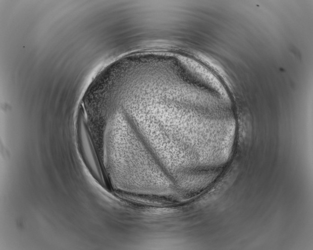 X0000090611475200708071153