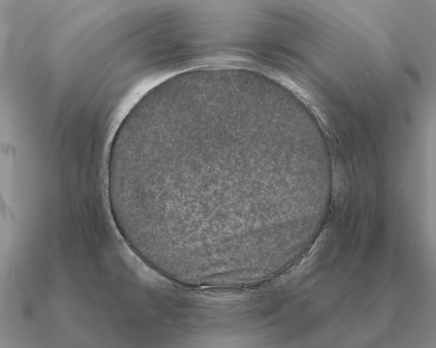 X0000090611478200708071153