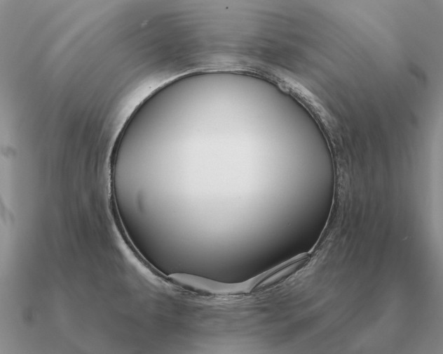 X0000090611479200708071153