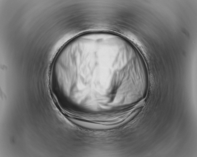 X0000090611480200708071153