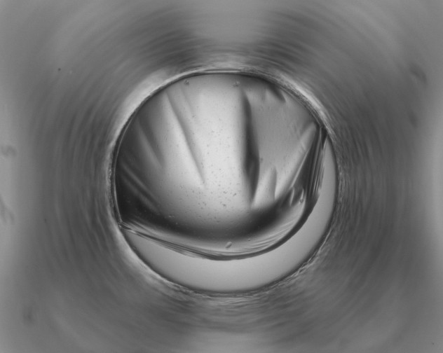 X0000090611483200708071153