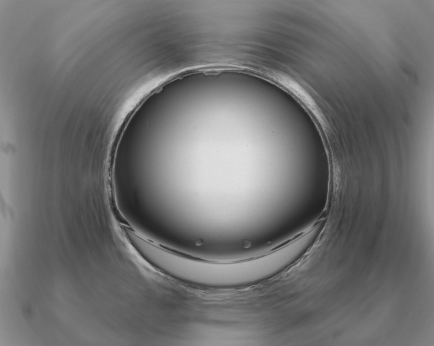 X0000090611485200708071153