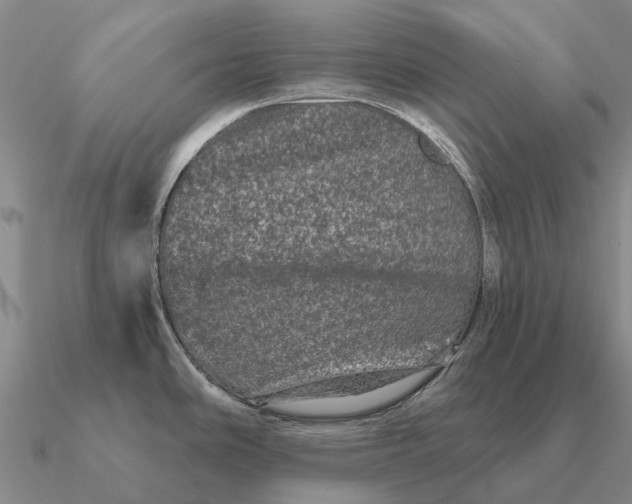 X0000090611486200708071153