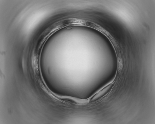 X0000090611487200708071153