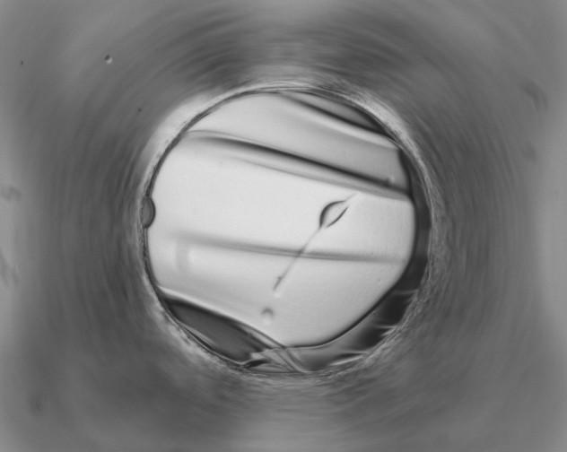 X0000090611488200708071153