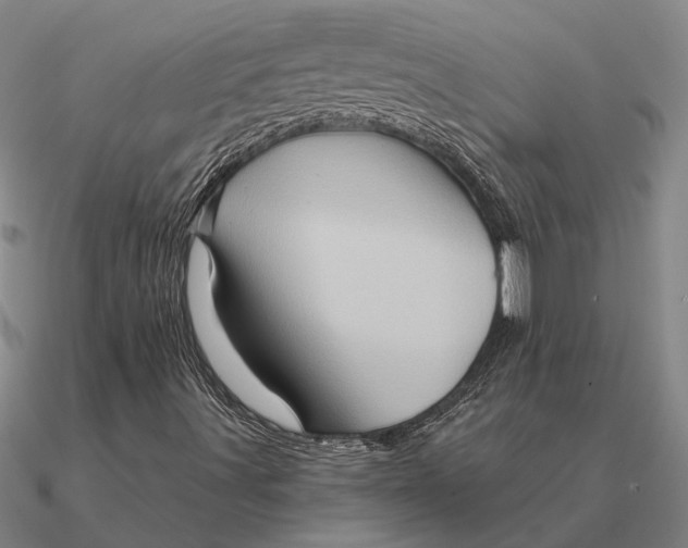 X0000090611491200708071152