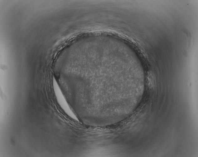 X0000090611493200708071152