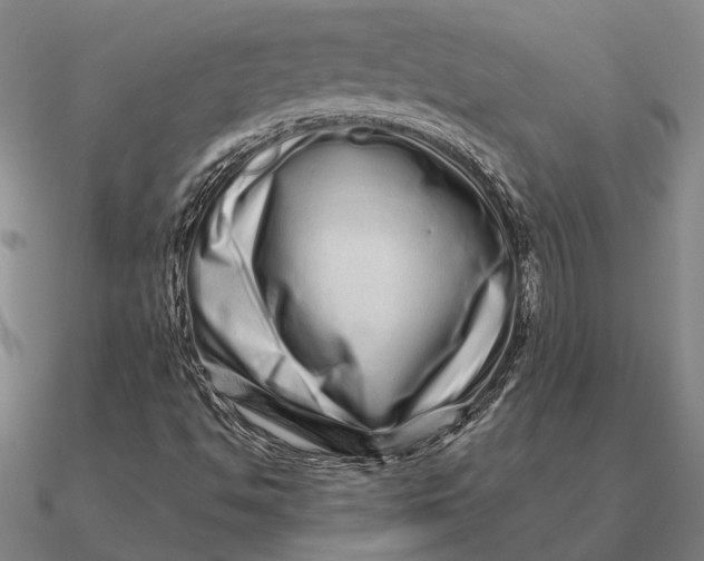 X0000090611494200708071152