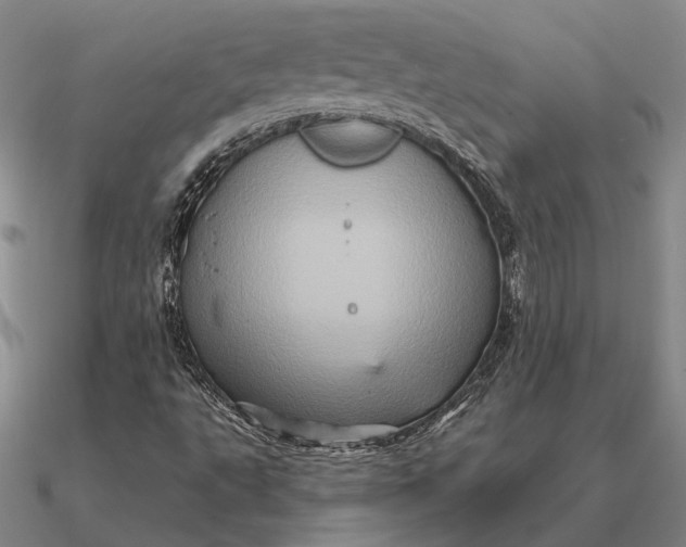 X0000090611495200708071152