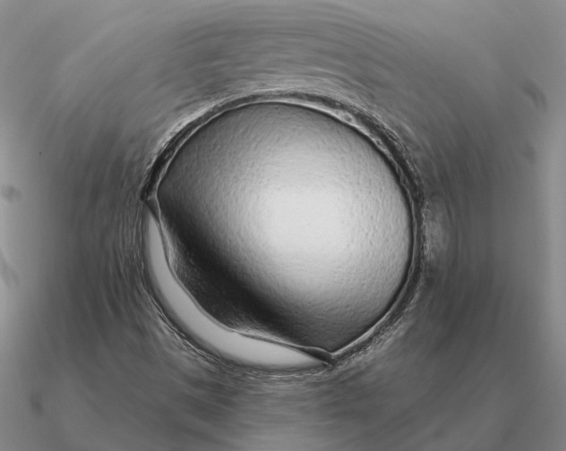 X0000090611497200708071153