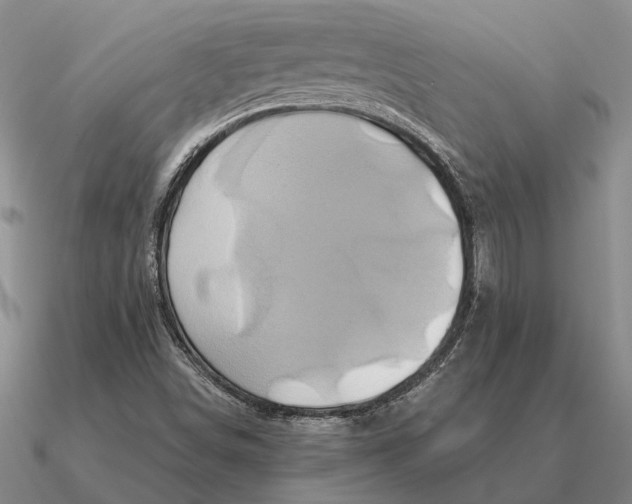 X0000090611498200708071153