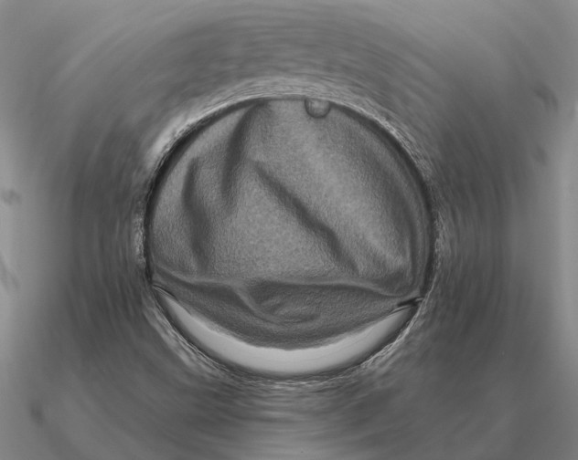 X0000090611499200708071153