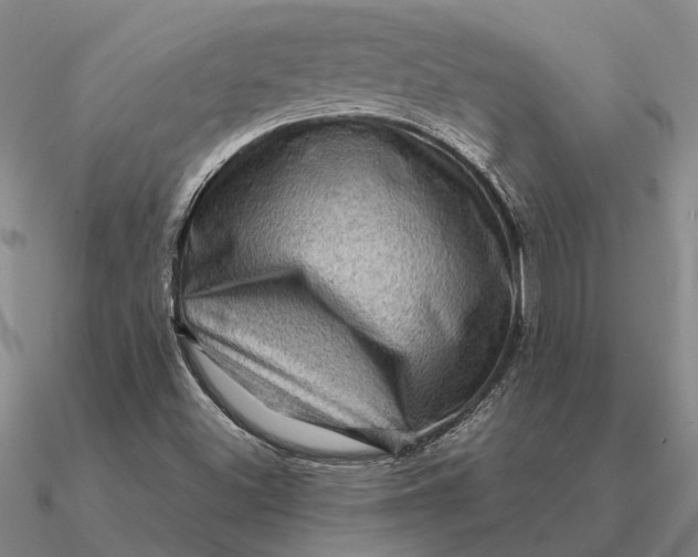 X0000090611500200708071153