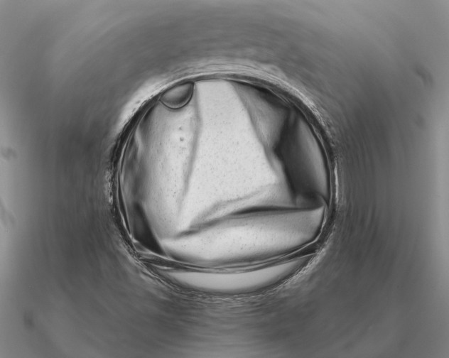 X0000090611501200708071153