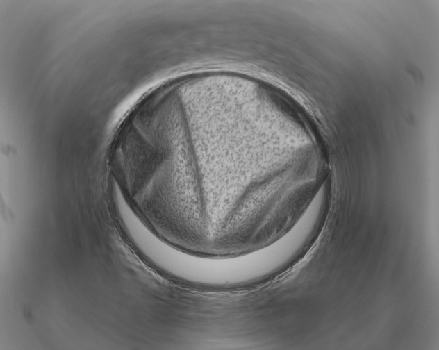 X0000090611502200708071153