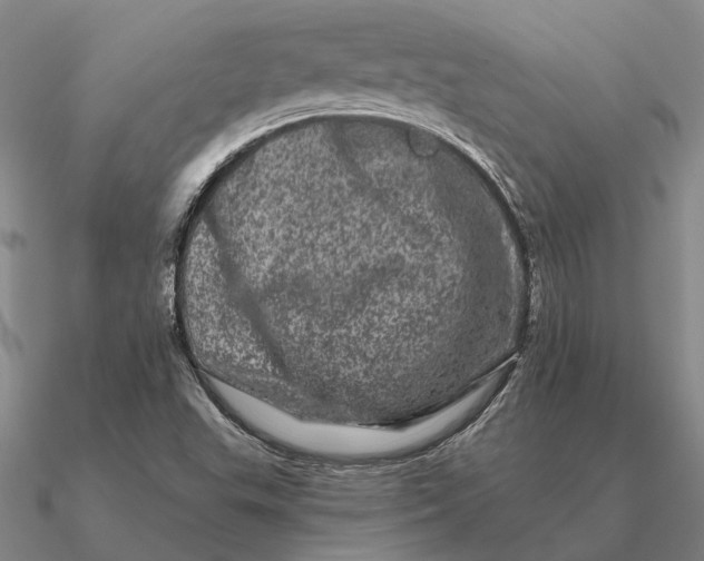 X0000090611503200708071153