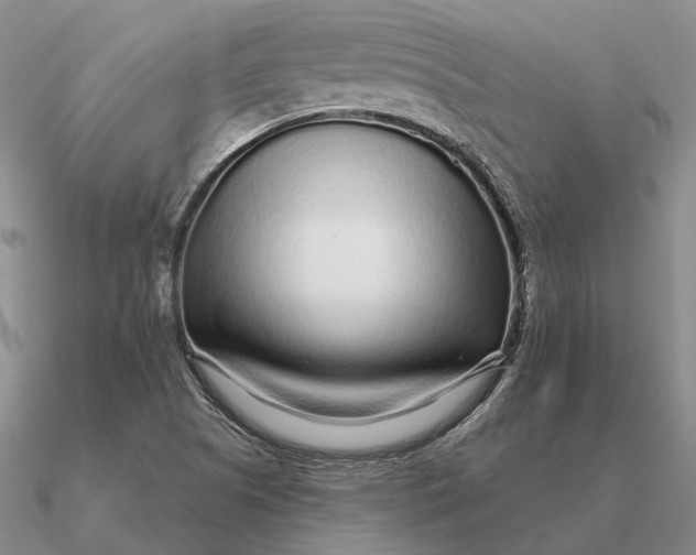 X0000090611505200708071153