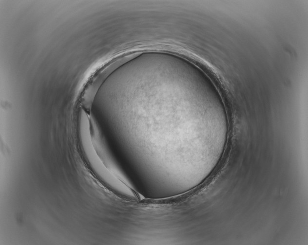 X0000090611506200708071153