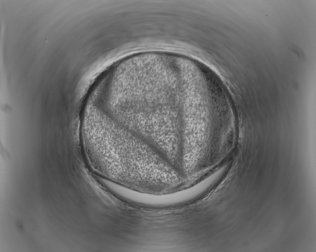 X0000090611507200708071153