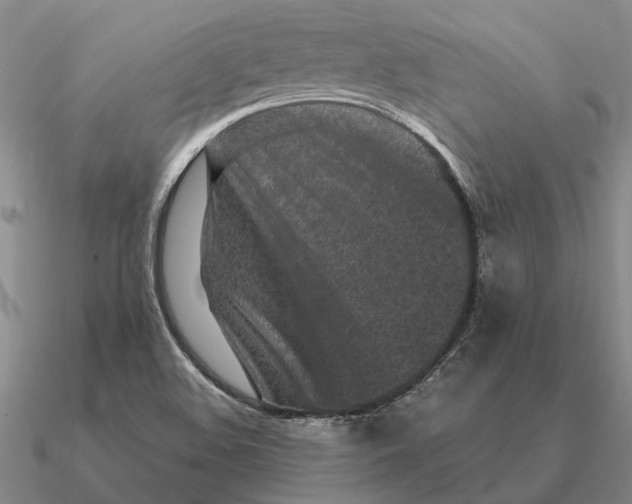 X0000090611508200708071153