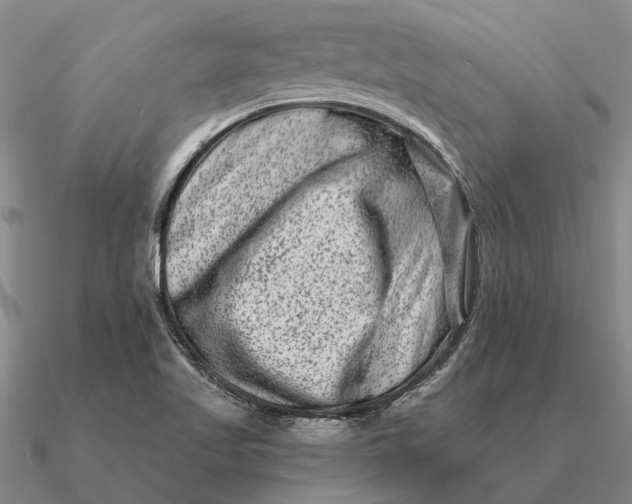 X0000090611509200708071153