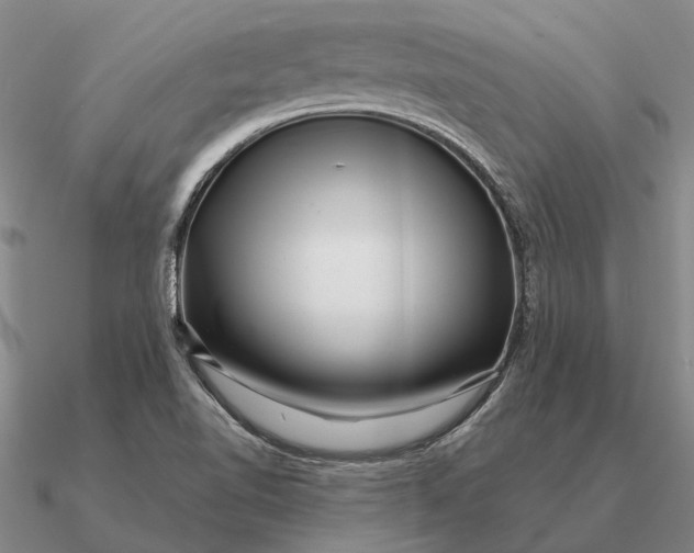 X0000090611510200708071153