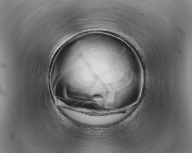 X0000090611513200708071153