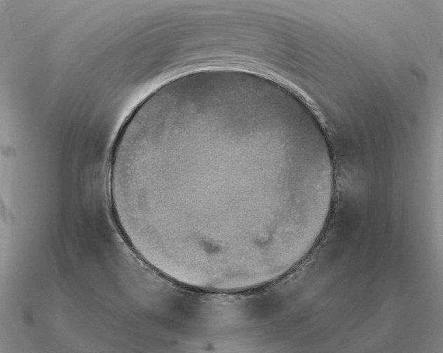 X0000090611514200708071153