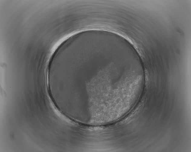 X0000090611515200708071153