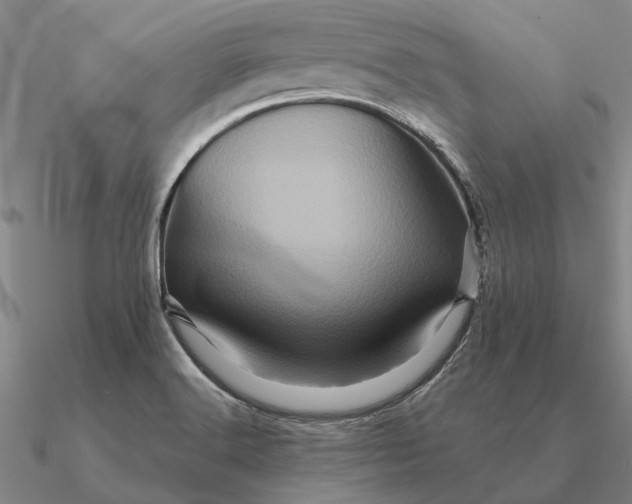 X0000090611516200708071153