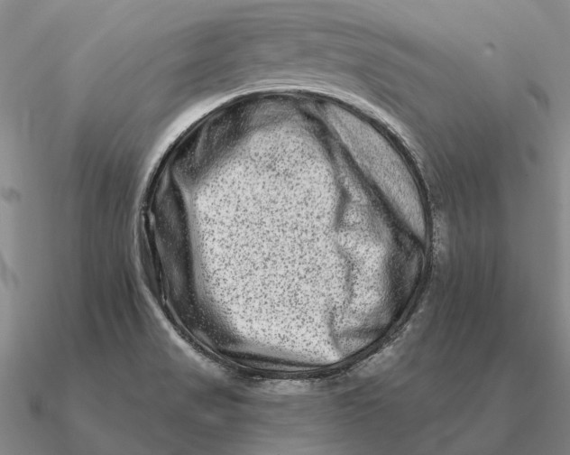 X0000090611517200708071153