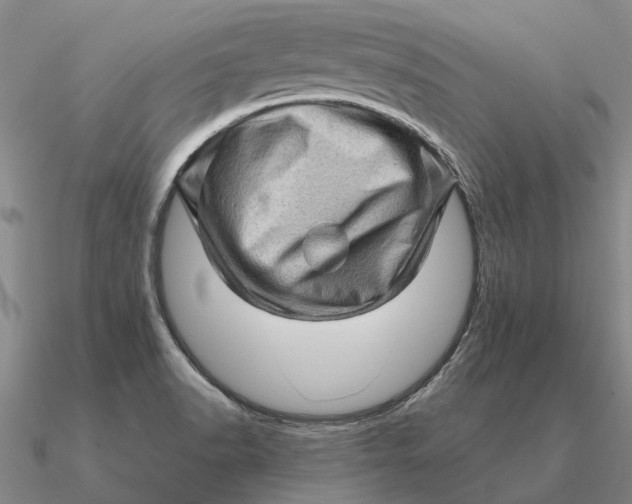 X0000090611518200708071153