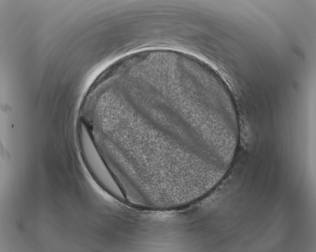 X0000090611519200708071153