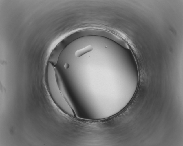 X0000090611520200708071153