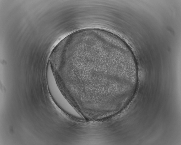 X0000090611521200708071153