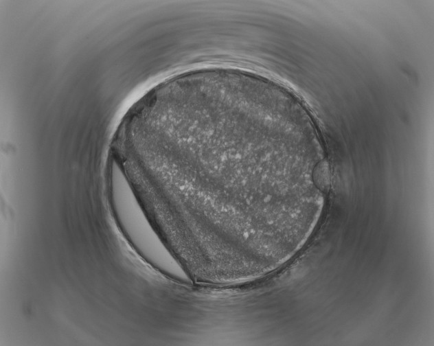 X0000090611522200708071153