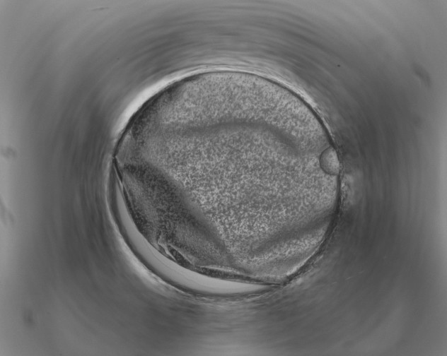 X0000090611523200708071153