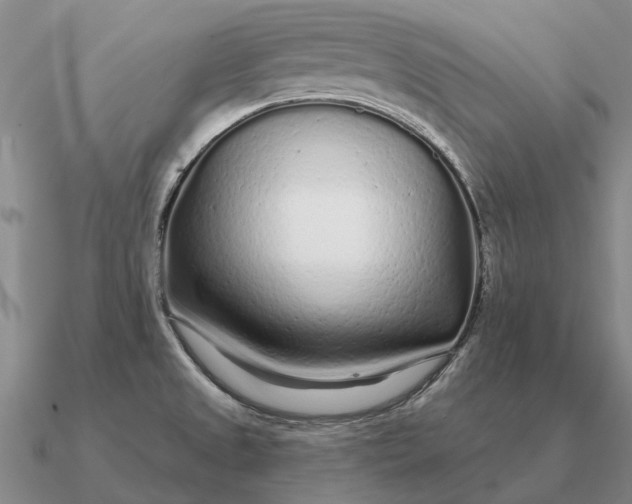 X0000090611525200708071153