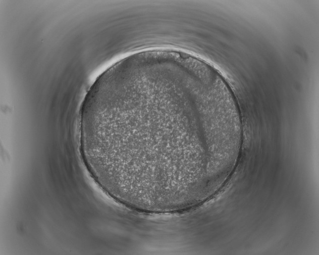 X0000090611526200708071153