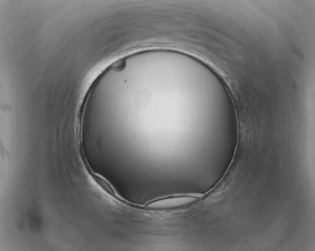 X0000090611527200708071153