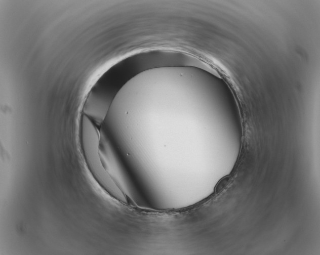 X0000090611528200708071153