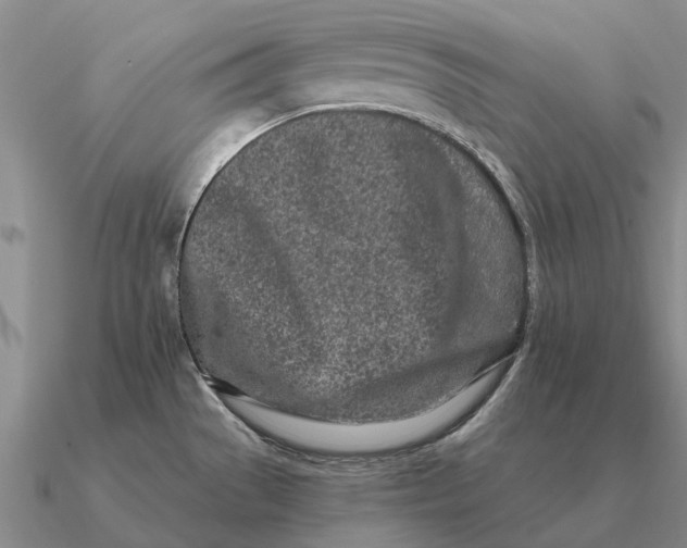 X0000090611529200708071153