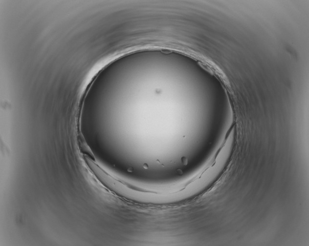 X0000090611530200708071153