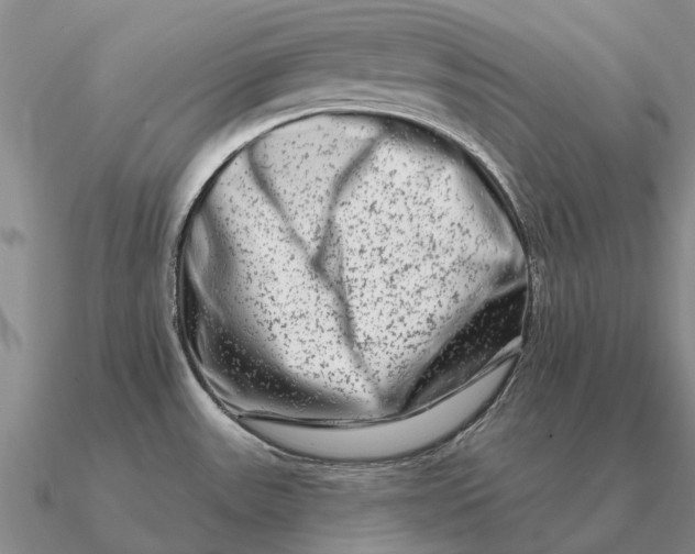 X0000090611531200708071153