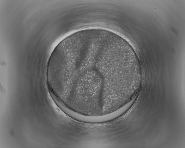 X0000090611534200708071153