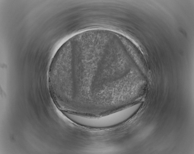 X0000090611535200708071153