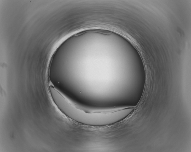 X0000090611536200708071153