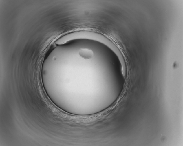 X0000090610001200708141401