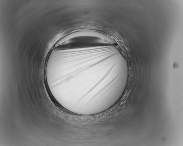 X0000090610003200708141401